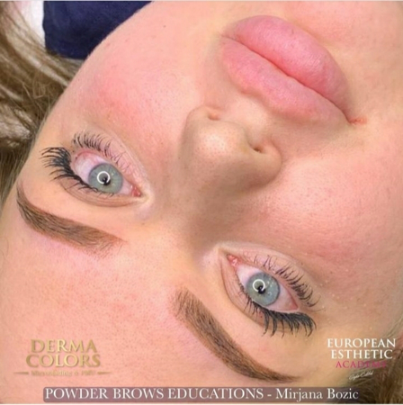 Imagen de POWDER BROWS online course