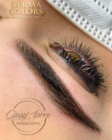 Imagen de POWDER BROWS online course